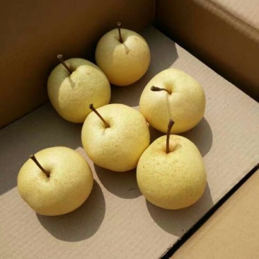 贡梨400~450g纸箱