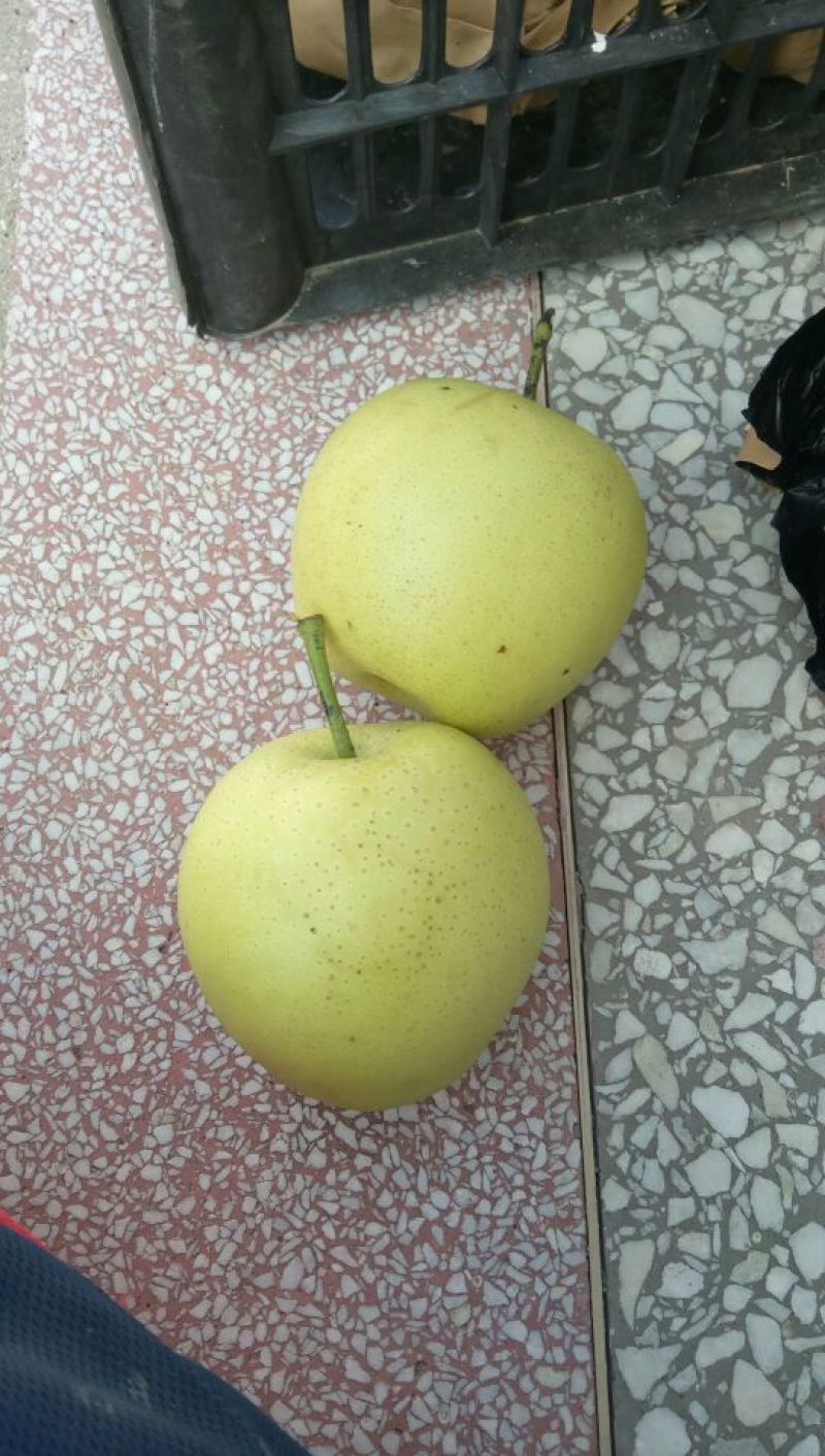 梨纸加膜