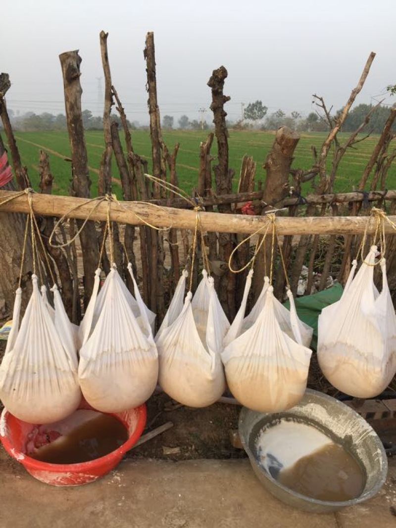 红薯粉面