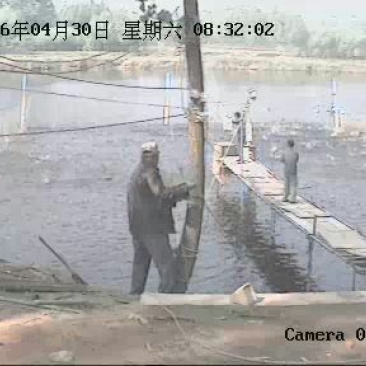 池鲤鱼食用1~2公斤