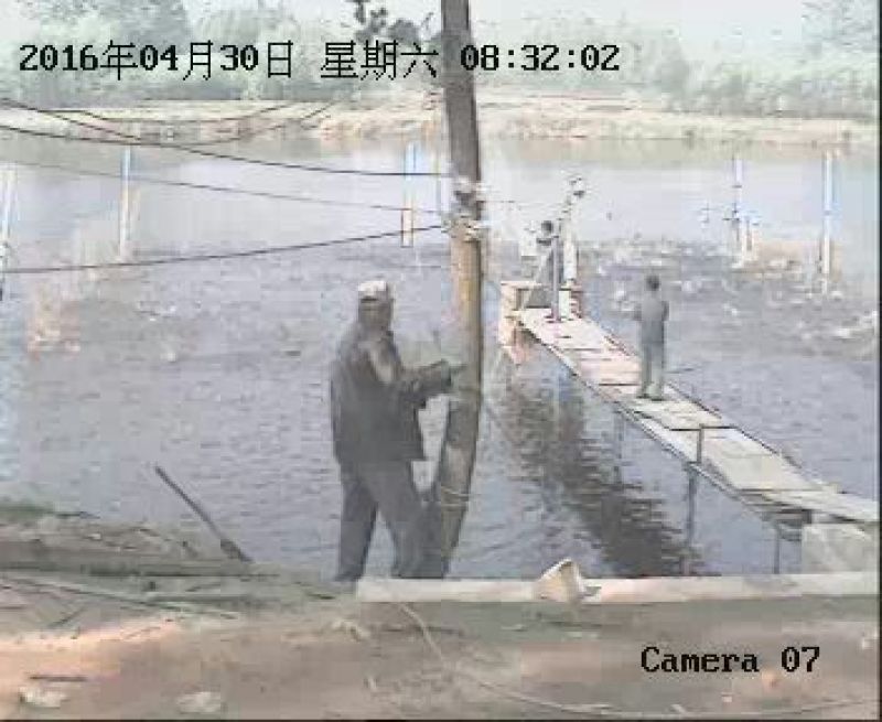 池鲤鱼食用1~2公斤