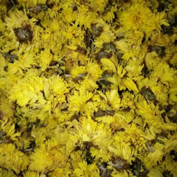 怀菊花袋装