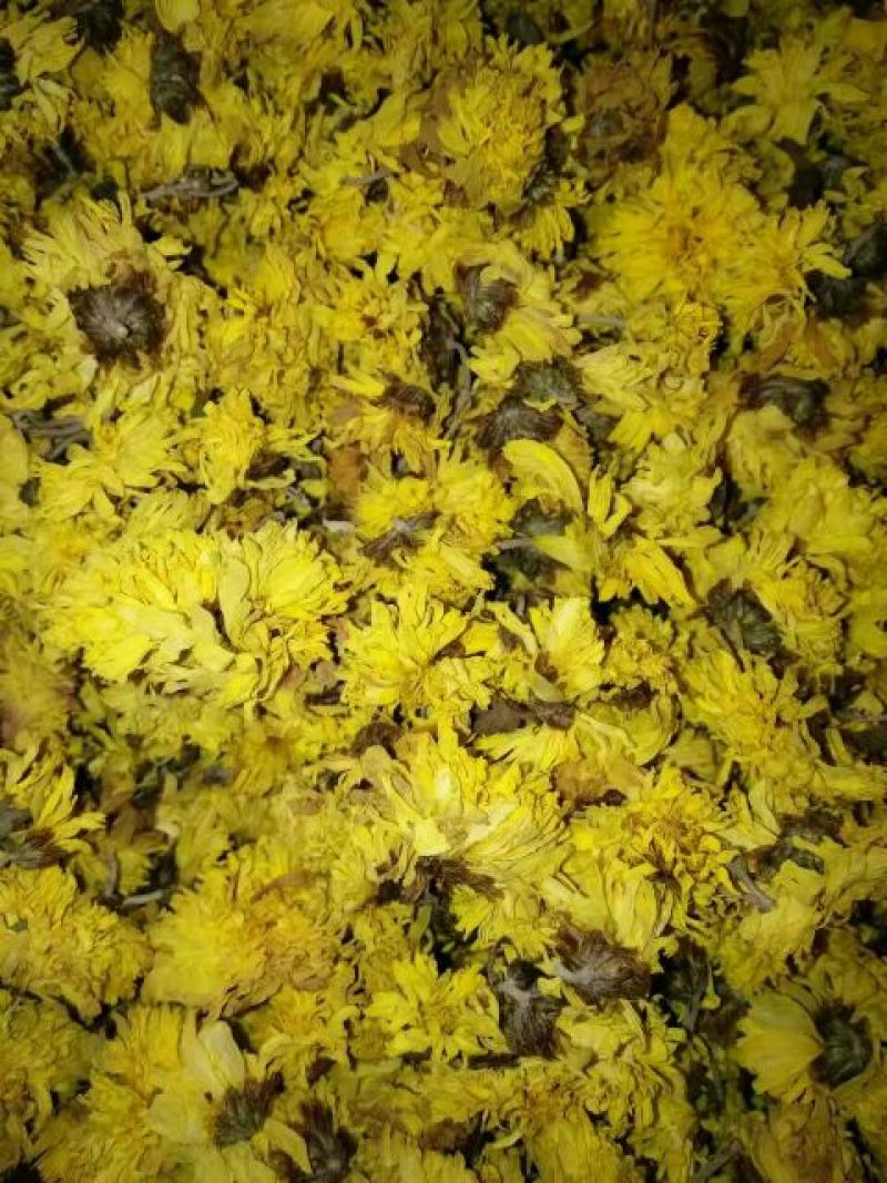 怀菊花袋装