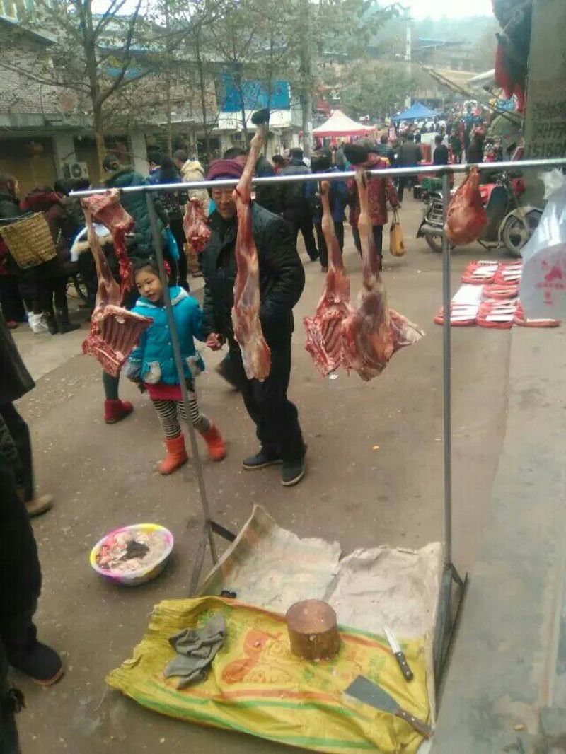 羊肉山羊肉否