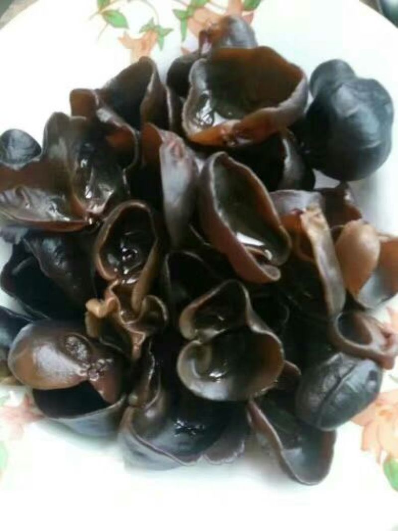 秋耳一级