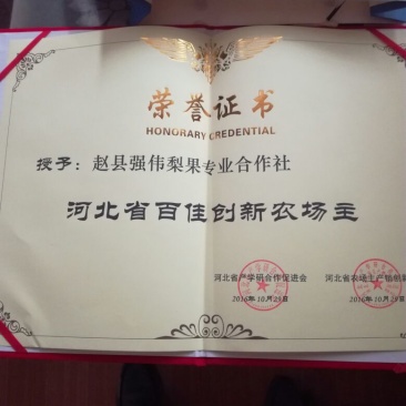 皇冠梨250~300g纸箱