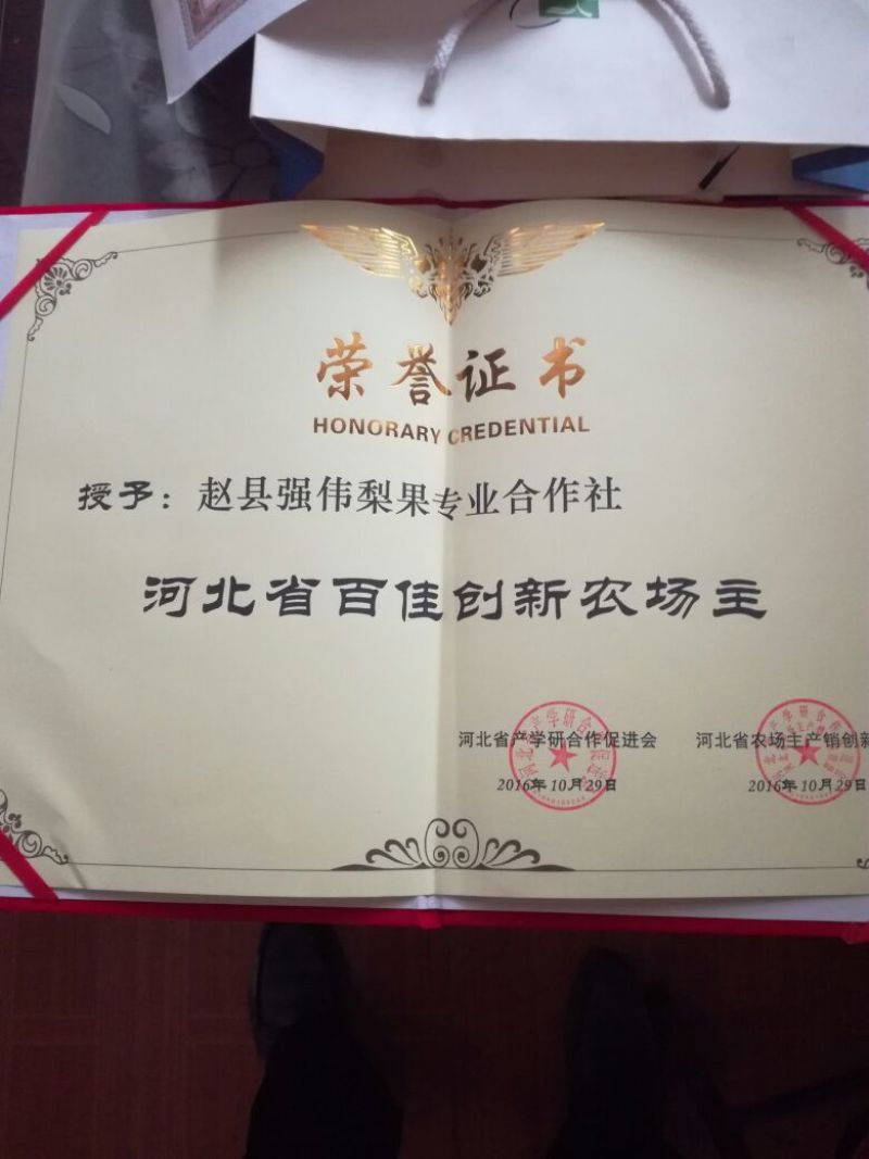 皇冠梨250~300g纸箱