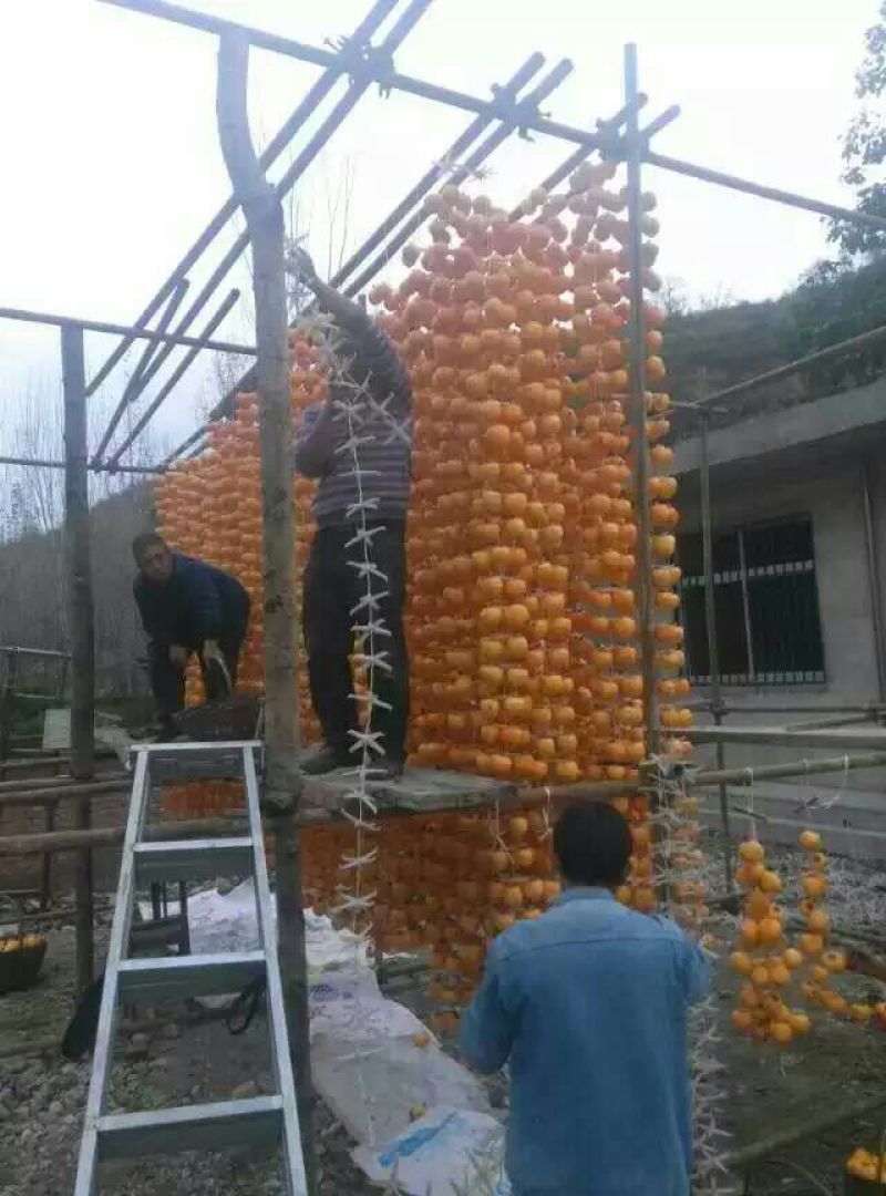 柿饼1~2两