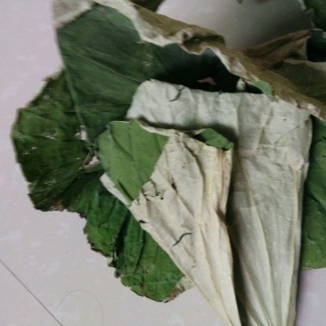 荷叶茶一级