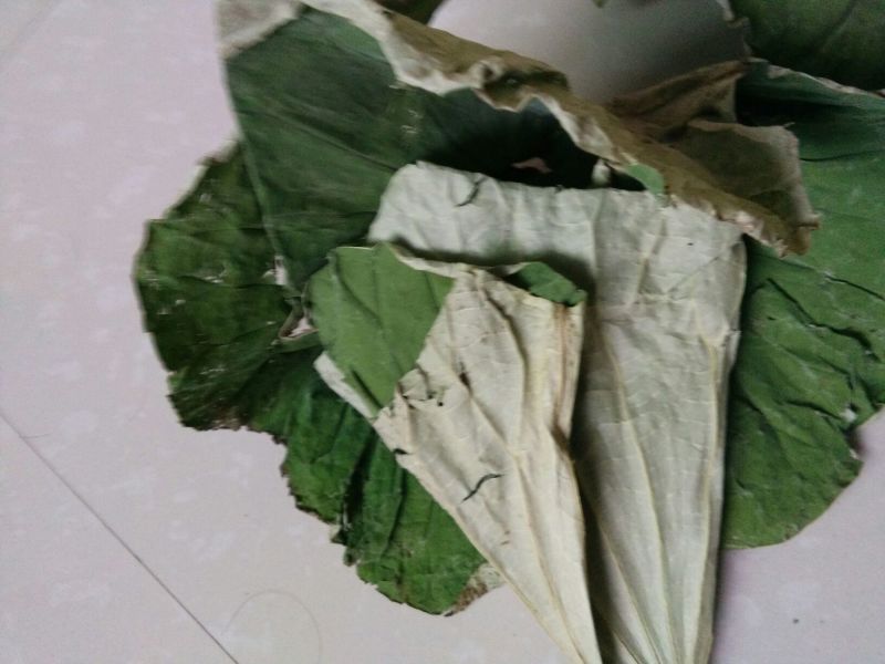 荷叶茶一级
