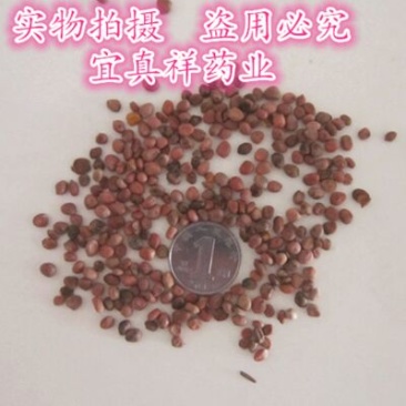 莱菔子