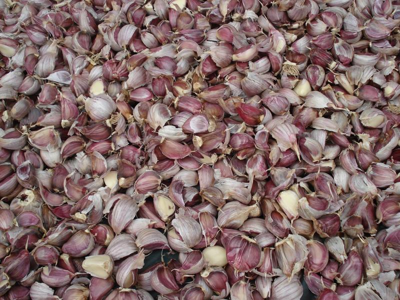紫皮蒜混级统货鲜蒜