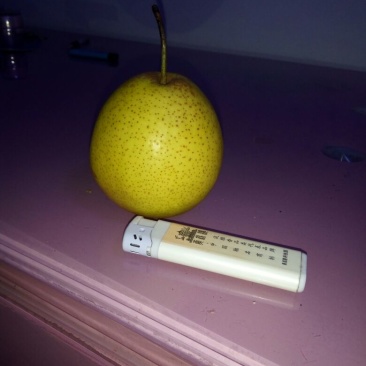 白梨250~300g纸箱