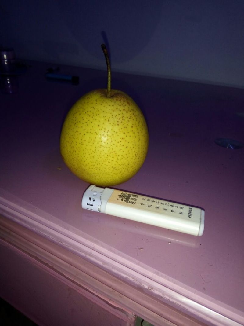白梨250~300g纸箱