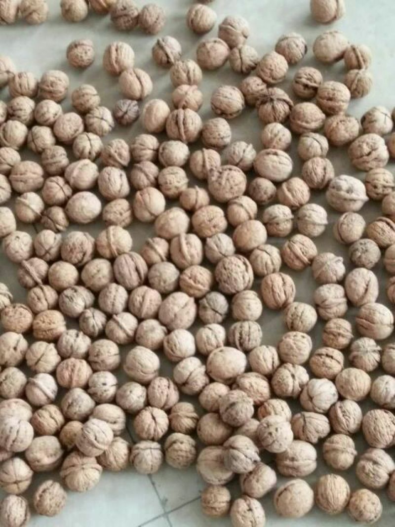脱皮核桃30mm以上去皮