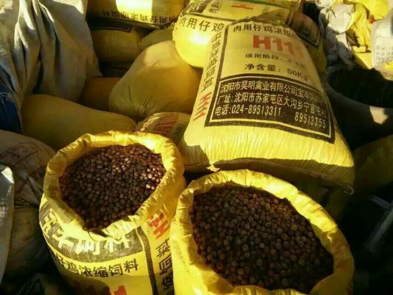 圆形榛子特级