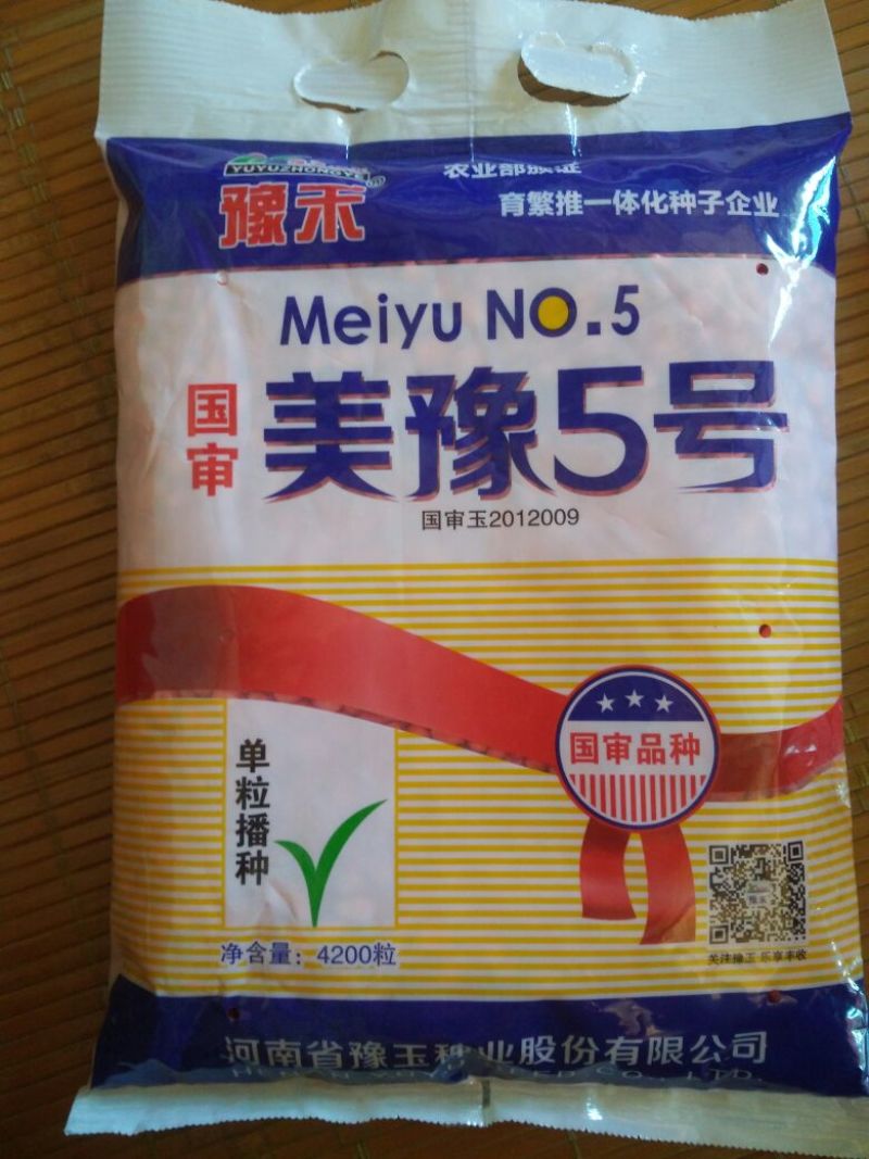 玉米种子