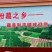 葛根种苗
