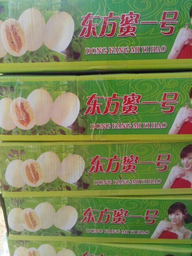 东方密1号哈密瓜2斤以上长圆形