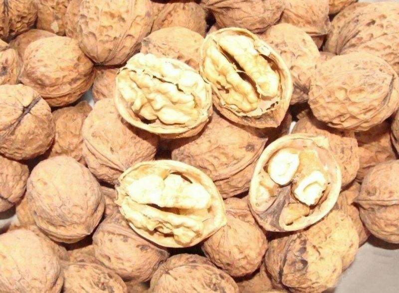 薄皮核桃去皮