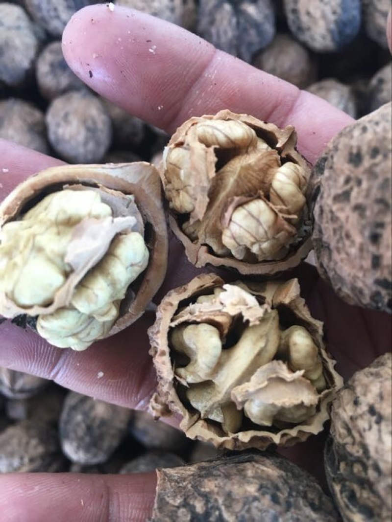 薄皮核桃去皮干