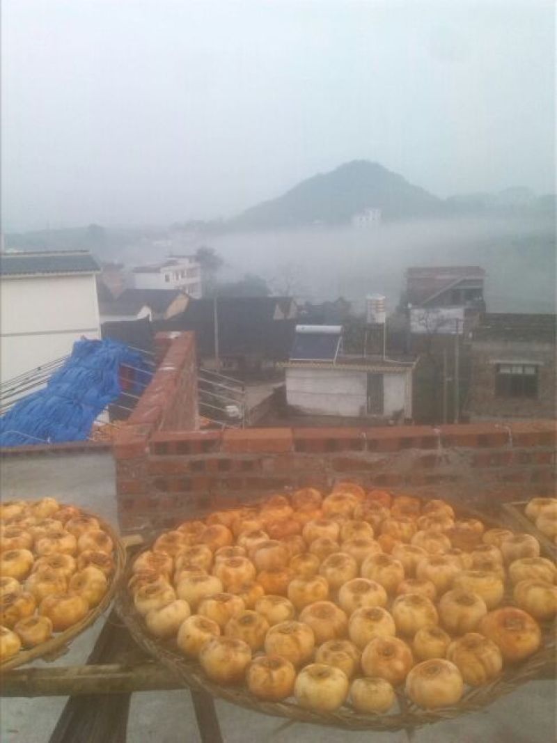 柿饼1~2两