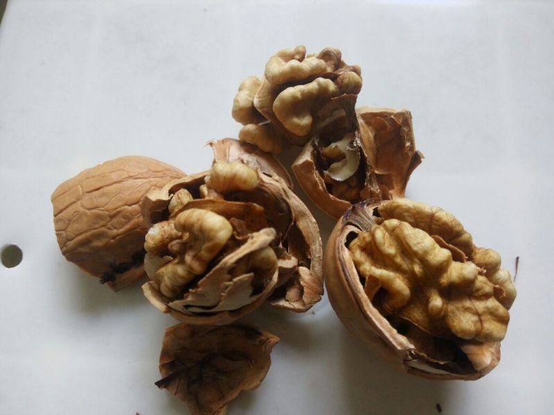 香玲核桃30mm以上去皮干