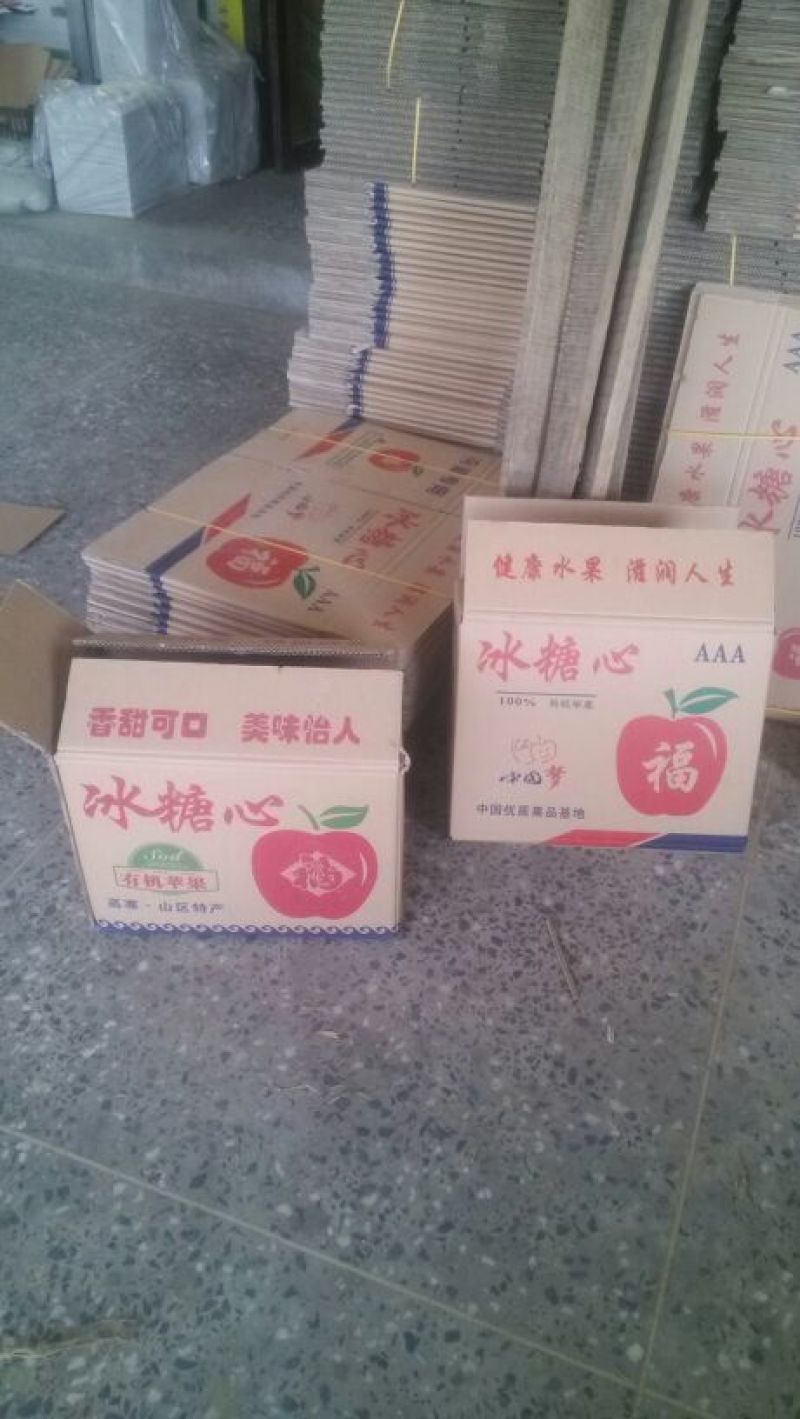 河北膜袋富士苹果，山西万荣膜袋红富士苹果
