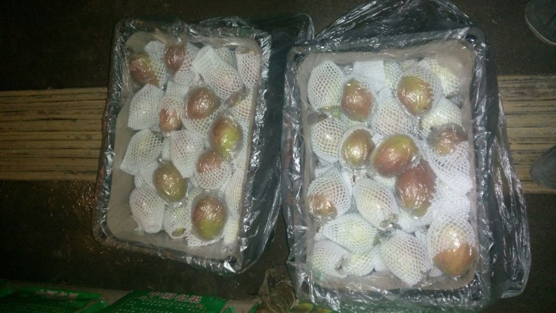 红香酥梨400~450g膜袋