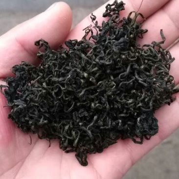 蒲公英茶