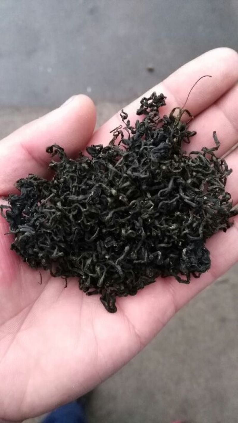 蒲公英茶