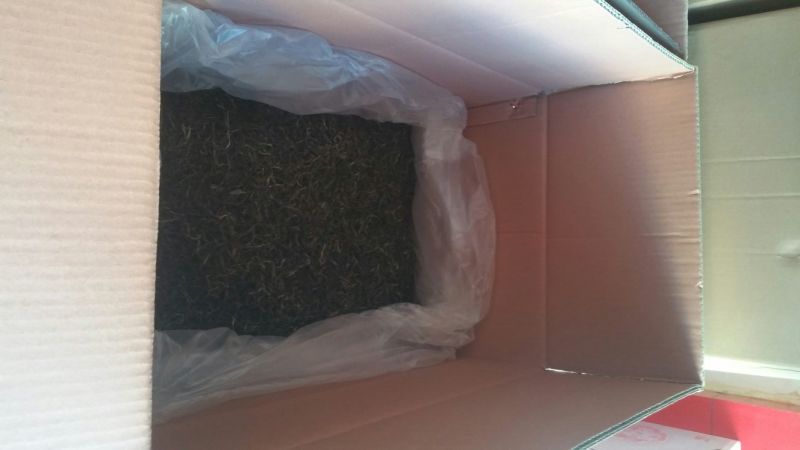 古树普洱茶二级