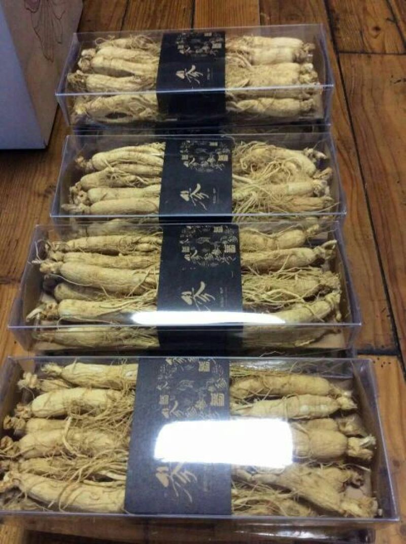 人参干
