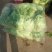 白花菜散装