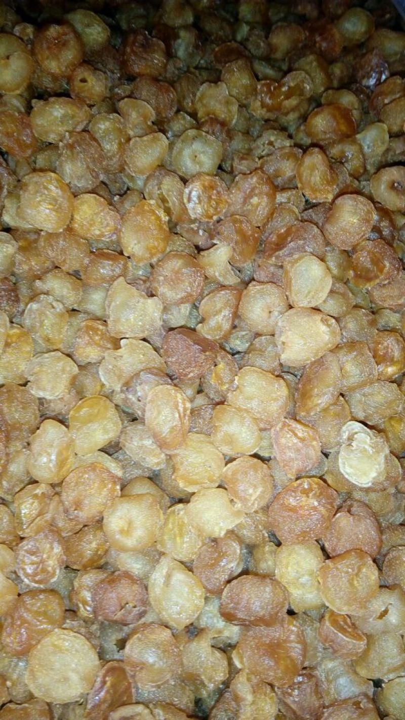 桂圆