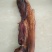 腊肉食用大排肉加工