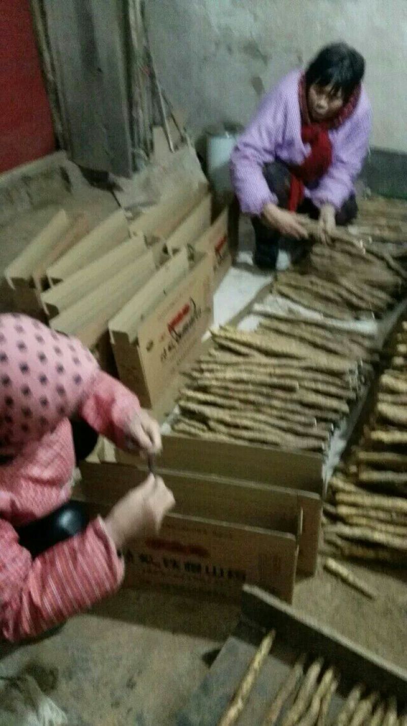 垆土山药3~4厘米特级