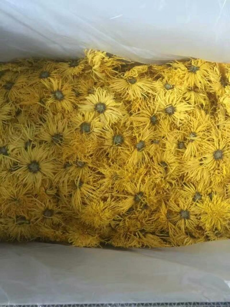 菊花茶