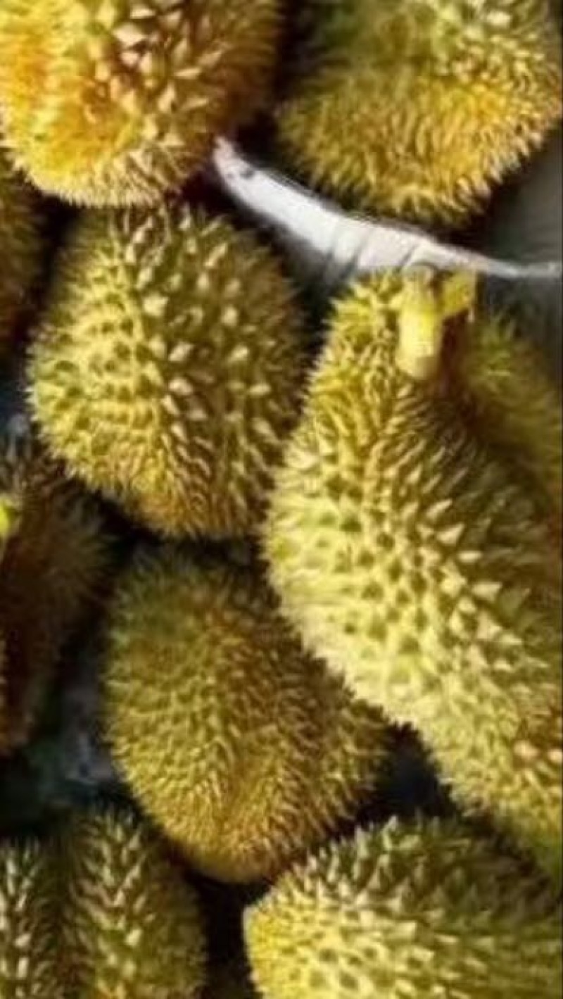 榴莲