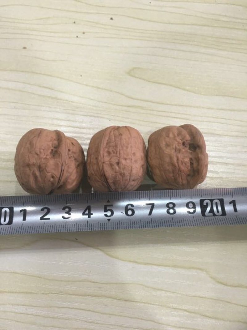 薄皮核桃