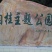 桶桂散装统货