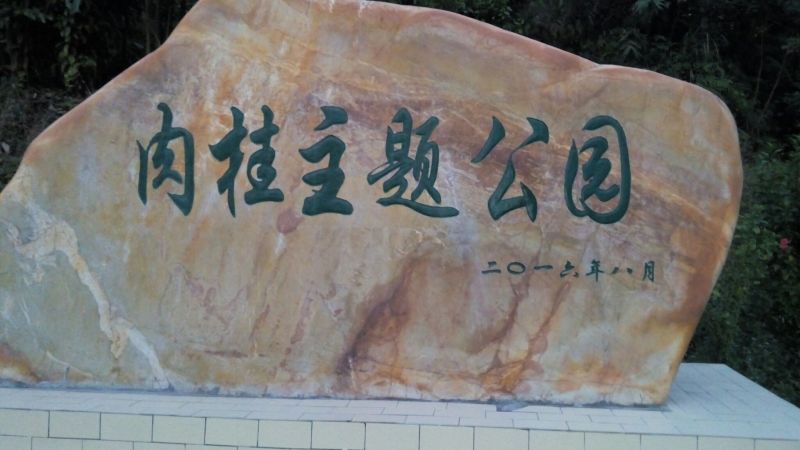 桶桂散装统货