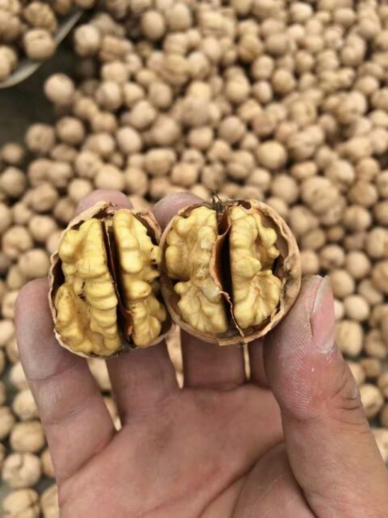 薄皮核桃去皮干