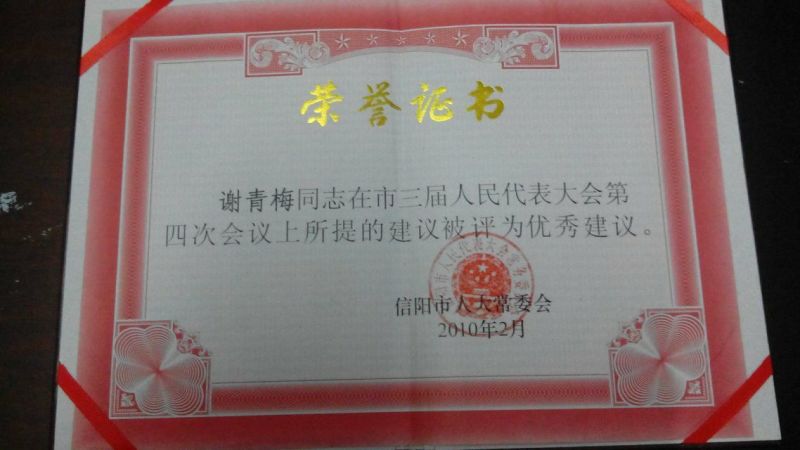 南方红豆杉，景观结果大树！