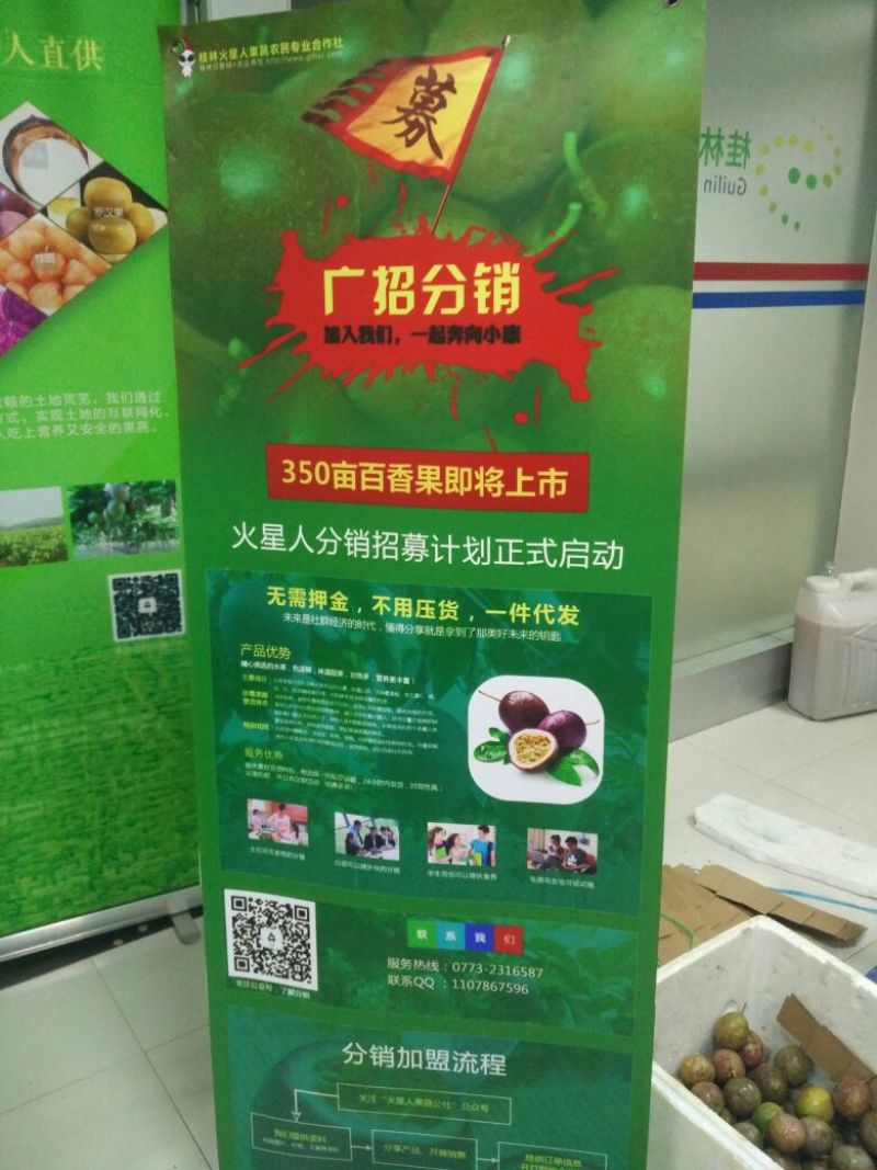 百香果紫果80~90g