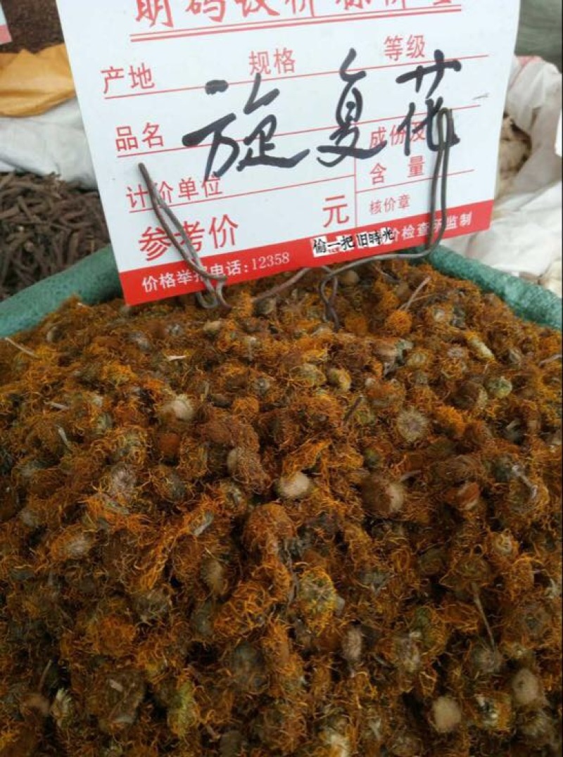 旋覆花