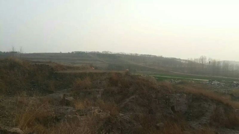 土地出租养鸡场