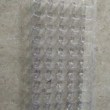 穴盘50孔