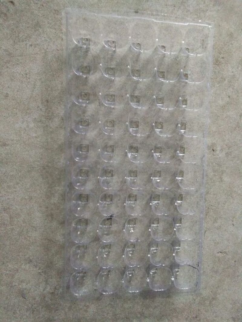 穴盘50孔