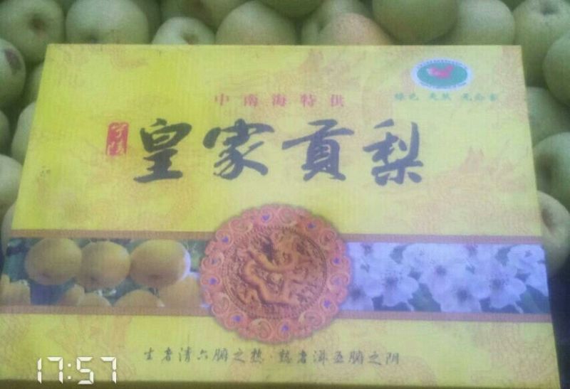 酥梨450~500g纸箱